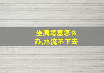 坐厕堵塞怎么办,水流不下去