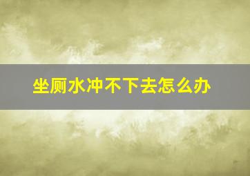 坐厕水冲不下去怎么办