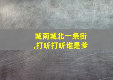 城南城北一条街,打听打听谁是爹