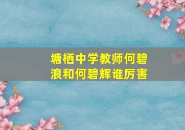 塘栖中学教师何碧浪和何碧辉谁厉害