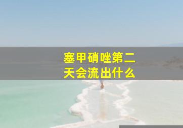 塞甲硝唑第二天会流出什么