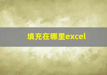 填充在哪里excel