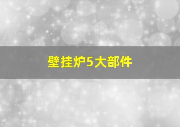 壁挂炉5大部件