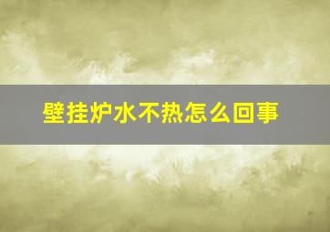 壁挂炉水不热怎么回事