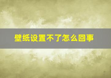 壁纸设置不了怎么回事