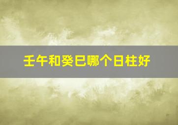 壬午和癸巳哪个日柱好