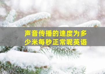 声音传播的速度为多少米每秒正常呢英语