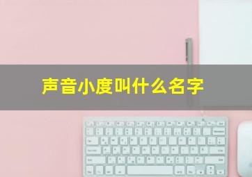 声音小度叫什么名字