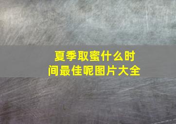 夏季取蜜什么时间最佳呢图片大全