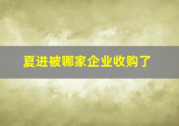 夏进被哪家企业收购了