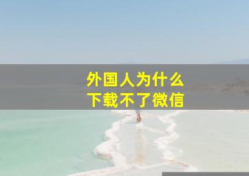 外国人为什么下载不了微信