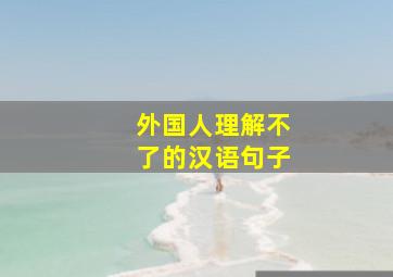 外国人理解不了的汉语句子