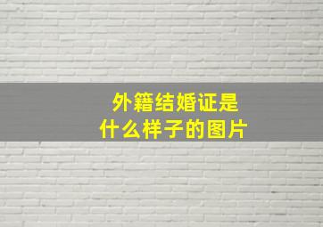 外籍结婚证是什么样子的图片