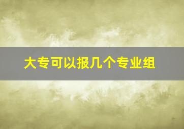 大专可以报几个专业组