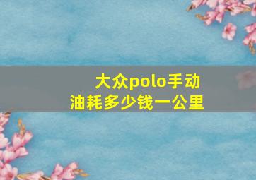 大众polo手动油耗多少钱一公里