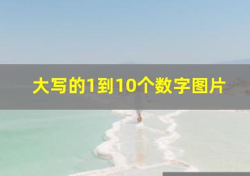 大写的1到10个数字图片