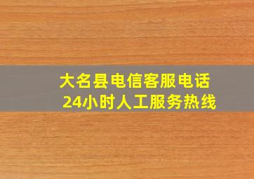 大名县电信客服电话24小时人工服务热线