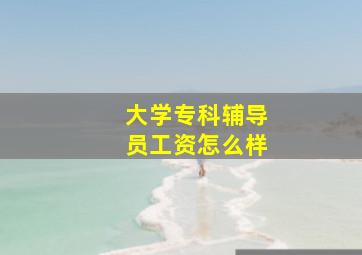 大学专科辅导员工资怎么样