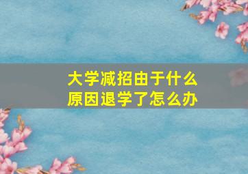 大学减招由于什么原因退学了怎么办