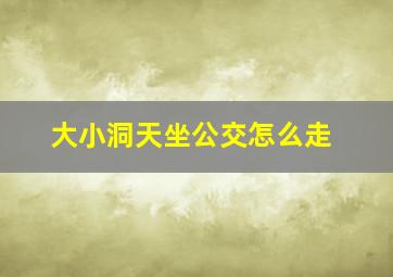 大小洞天坐公交怎么走