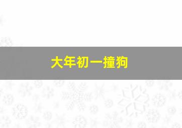 大年初一撞狗