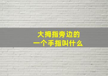 大拇指旁边的一个手指叫什么