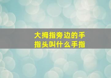 大拇指旁边的手指头叫什么手指