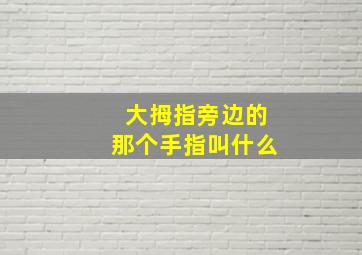 大拇指旁边的那个手指叫什么