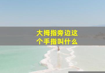 大拇指旁边这个手指叫什么