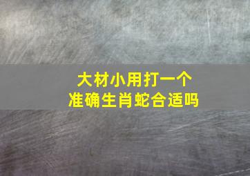 大材小用打一个准确生肖蛇合适吗