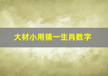 大材小用猜一生肖数字