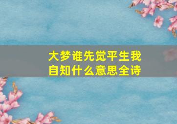 大梦谁先觉平生我自知什么意思全诗