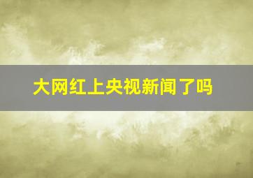 大网红上央视新闻了吗