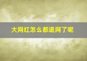 大网红怎么都退网了呢