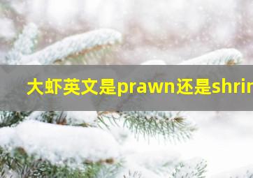 大虾英文是prawn还是shrimp