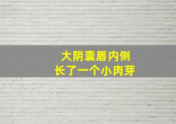 大阴囊唇内侧长了一个小肉芽