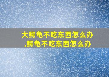 大鳄龟不吃东西怎么办,鳄龟不吃东西怎么办