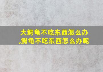 大鳄龟不吃东西怎么办,鳄龟不吃东西怎么办呢