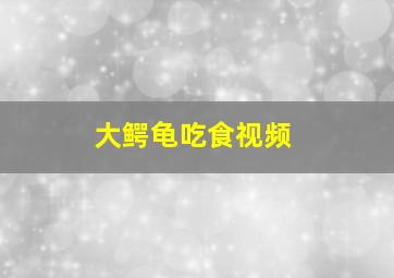 大鳄龟吃食视频