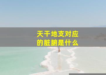 天干地支对应的脏腑是什么