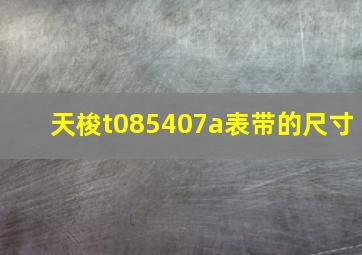 天梭t085407a表带的尺寸