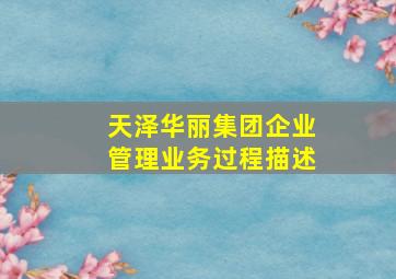 天泽华丽集团企业管理业务过程描述