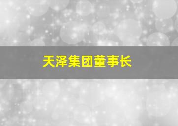 天泽集团董事长