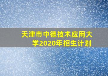 天津市中德技术应用大学2020年招生计划