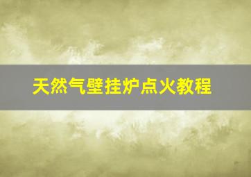 天然气壁挂炉点火教程