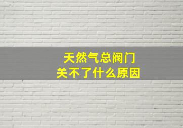 天然气总阀门关不了什么原因