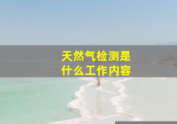 天然气检测是什么工作内容