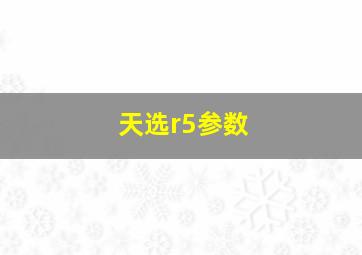 天选r5参数