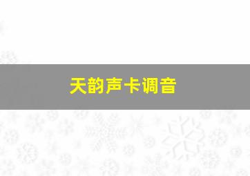 天韵声卡调音