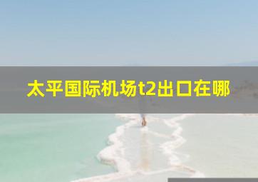 太平国际机场t2出口在哪